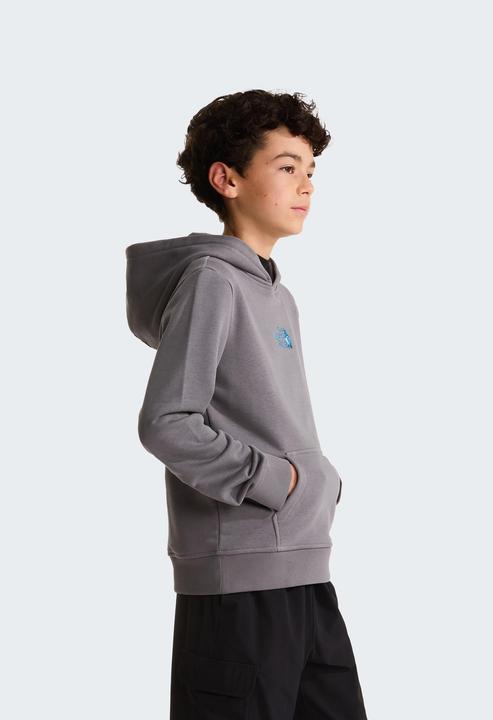 Produktbild North Face Liquid Logo Reg (116)