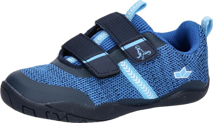 Actual product image Lico Aride V (35)