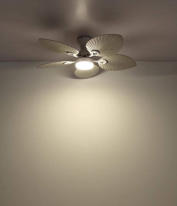 Produktbild Globo Elise (35 dB)