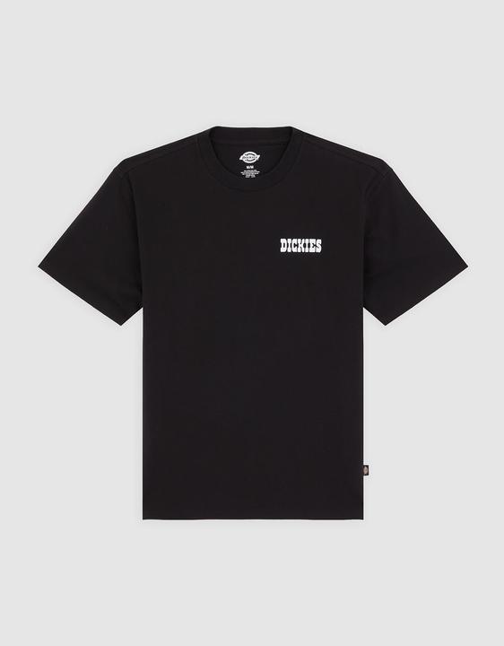 Produktbild Dickies Plain City Ss Tee (S)