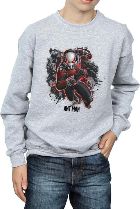 Image du produit Sweatshirt garçon Ant-Man Ants Running (116)