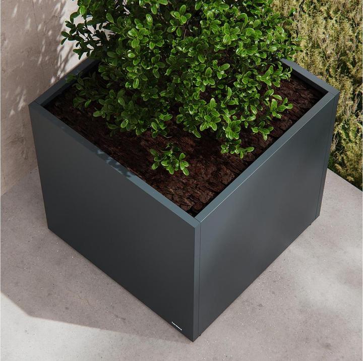 Immagine prodotto Herstera Cubo (60 cm)