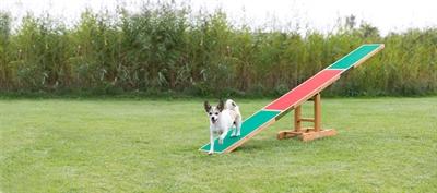 Trixie Agility