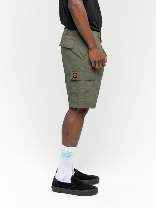 Actual product image Santa Cruz Defeat Workshort (28)