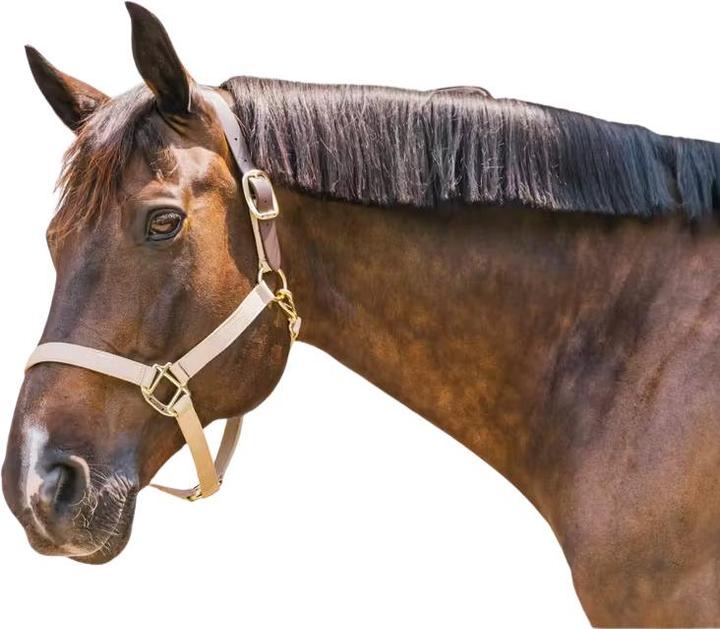 Produktbild Kentucky Horsewear Breakaway