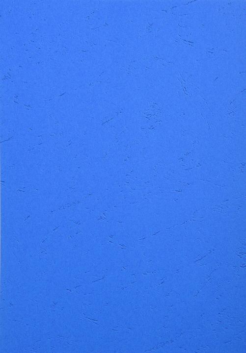 Actual product image Exacompta FOREVER cover, DIN A4, blue