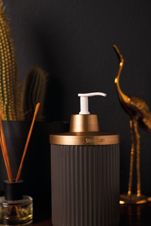 Actual product image Sterillium Protect & Care Emma