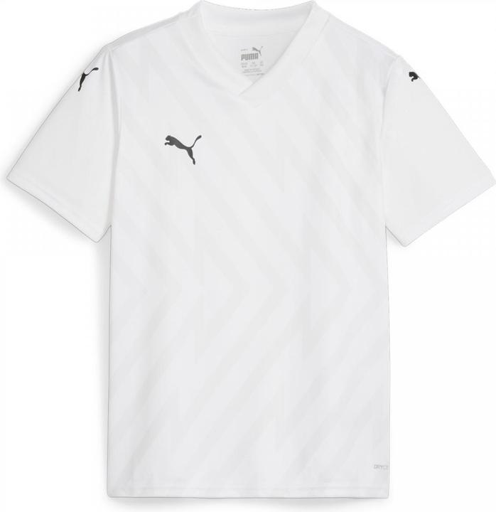 Produktbild Puma teamGLORY Jersey Jr (152)