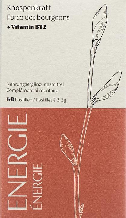 Actual product image Heidak Knospenkraft Pastillen Energie (60 pcs., Pastilles, 287 g)