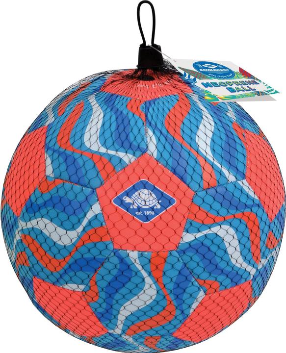 Image du produit Schildkröt Football de plage