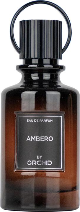 Image du produit Ambero Eau De Parfum 100ml Spray (Eau de parfum, 100 ml)