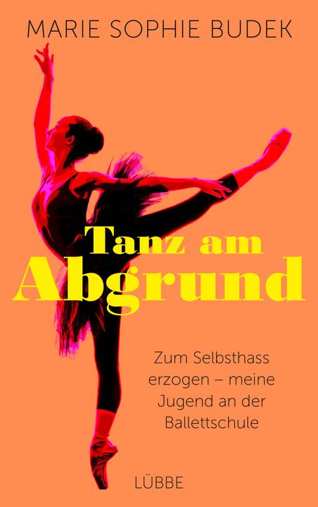 Produktbild Tanz am Abgrund (Deutsch, Marie Sophie Budek, 2021)