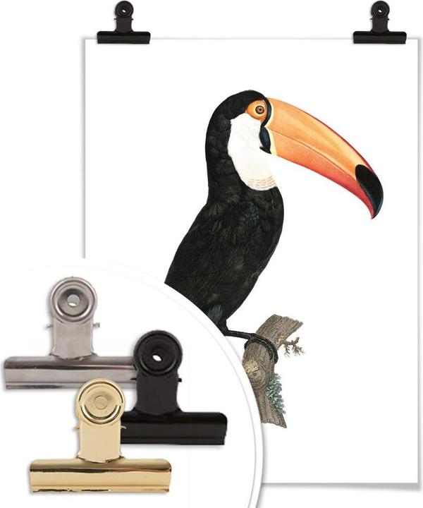 Produktbild Trenddeko Tukan auf einem Ast (30 x 40 cm)