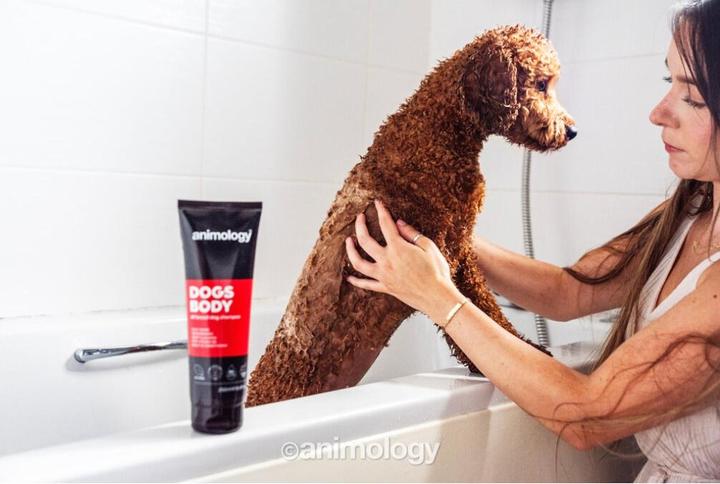 Actual product image Animology Dogs Body (Dog, 250 ml)