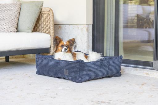 Immagine prodotto Designed by Lotte A coste (Cane)