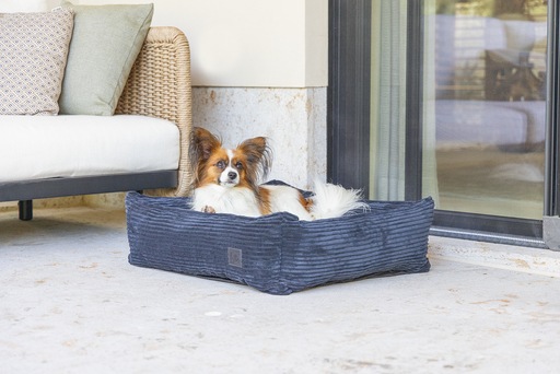 Productafbeelding Designed by Lotte Geribbeld divanbed (Hond)