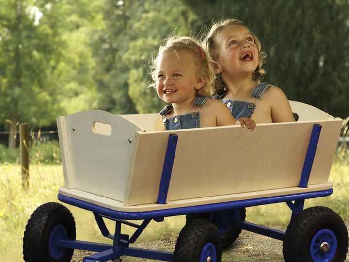 Actual product image Sunny Billy Beach Wagon