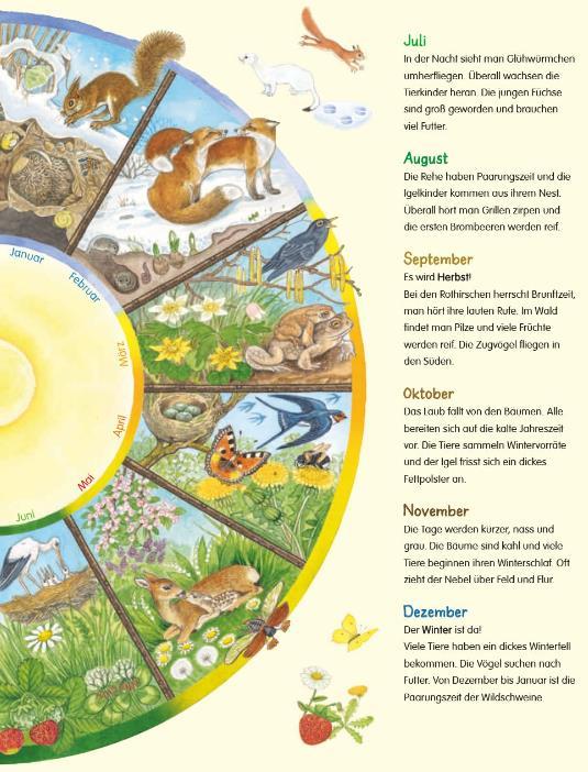 Image du produit Mein erstes Wimmelbuch - Jahreszeiten (Allemand, Christine Henkel, 2017)