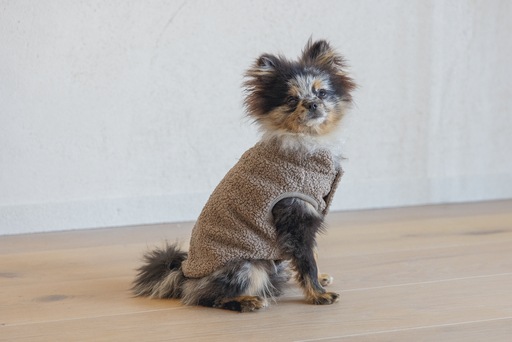Image du produit Designed by Lotte Pull pour chien Madeleine (S, Pull-over pour chien)