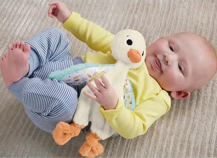 Produktbild Fisher-Price Schmusegans (25.40 cm)