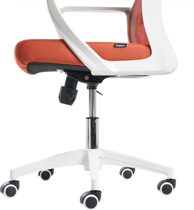 Immagine prodotto Beliani Monarch (35 - 45 cm)