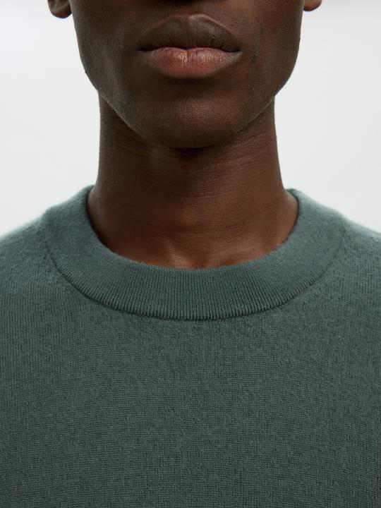 Produktbild Selected Slhtray Merino Brushed Relaxed Crew Noos (M)