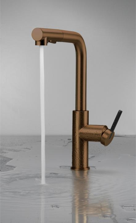 Actual product image Deante Kitchen mixer tap with pull-out spout