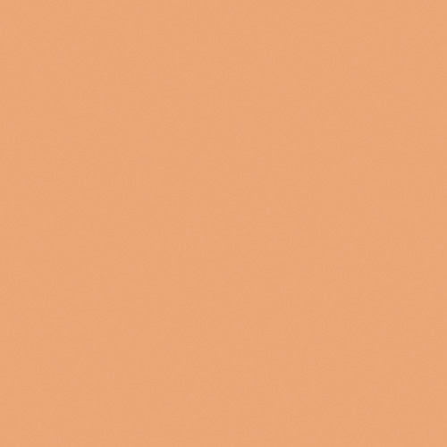 Immagine prodotto Naj Oleari Ultimate Cover Concealer 03 Nocciola 3g (03)