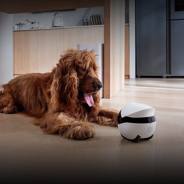 Actual product image NoName EBO Air2 Plus Companion Robot - White