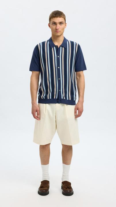 Image du produit Selected Homme Regular Fit Strick Polo shirt (S)
