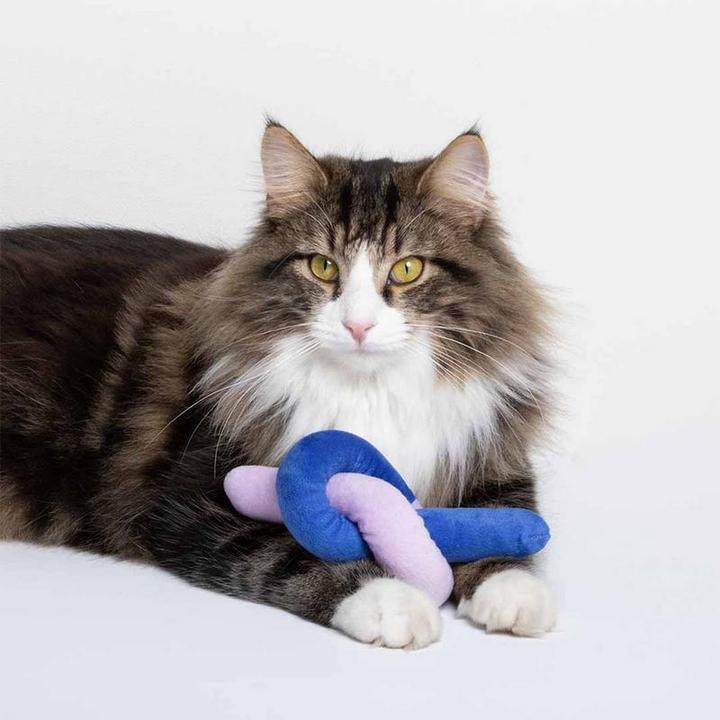 Actual product image Coockoo Plüsch Knotty Noodle (Plush toy cat)