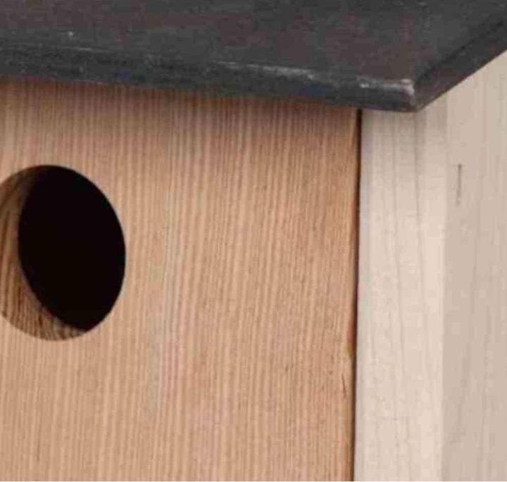 Immagine prodotto Siena Garden nido