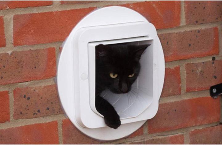 Image du produit SureFlap Porte de chat à micropuce (Chatière à micropuce)