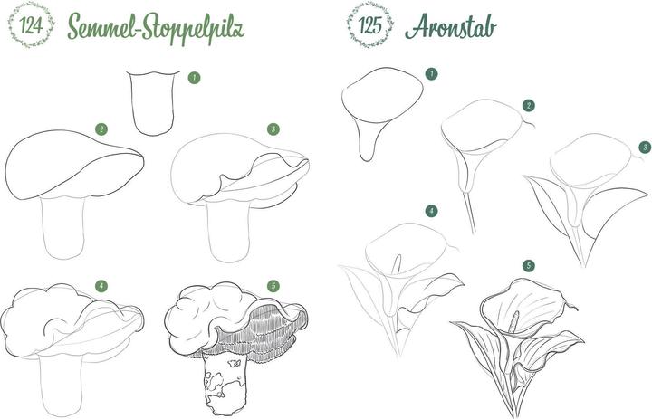 Immagine prodotto Disegna 300 motivi - Botanica