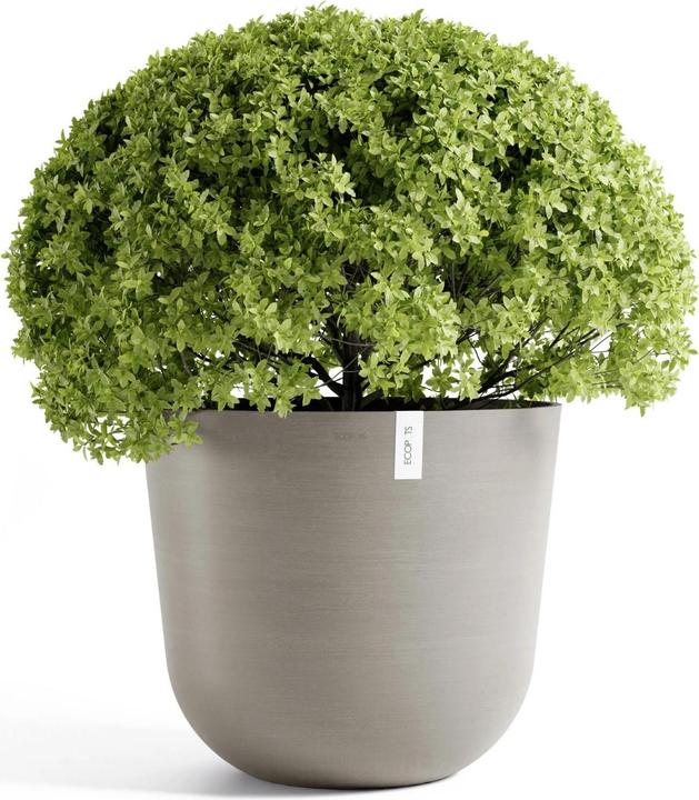 Image du produit Ecopots Oslo (65 cm)