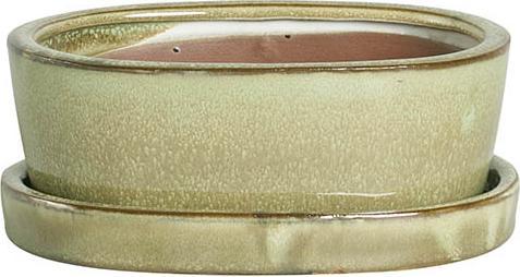 Herstera Bonsai Naha + Plato (27 x 21 x 8 cm)