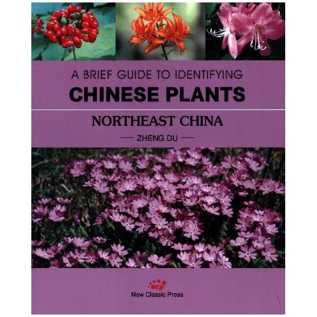 Zheng:A Brief Guide To Identifying Chin, Sachbücher von Du Zheng