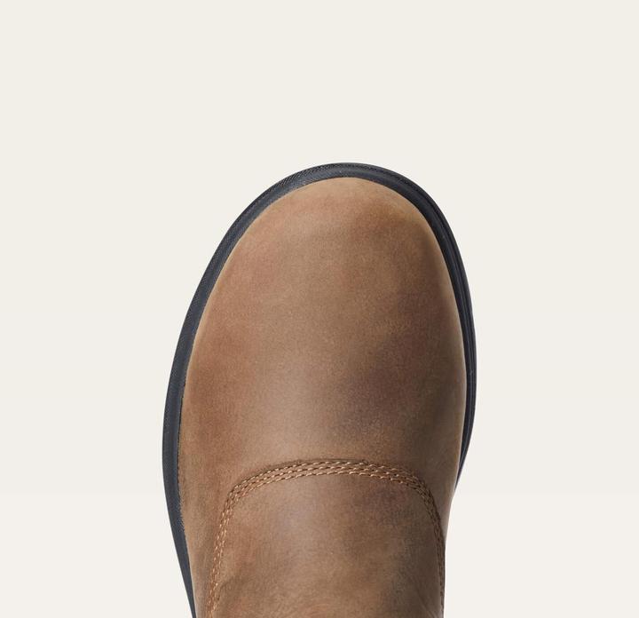 Image du produit Ariat Chaussure de travail Barnyard Twin Gore II Hommes (43)