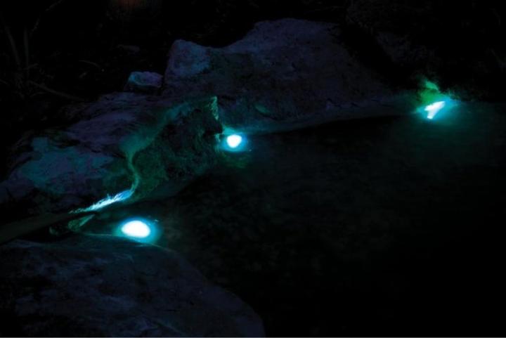 Actual product image Pontec Pond lighting PondoStar LED RW Set 3
