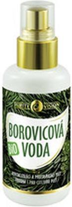 Purity Vision - Bio Pine Water - 100ml (100 ml)