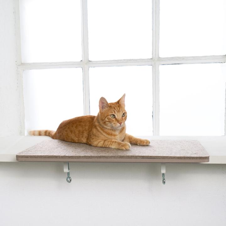 Produktbild LucyBalu View (Katze)