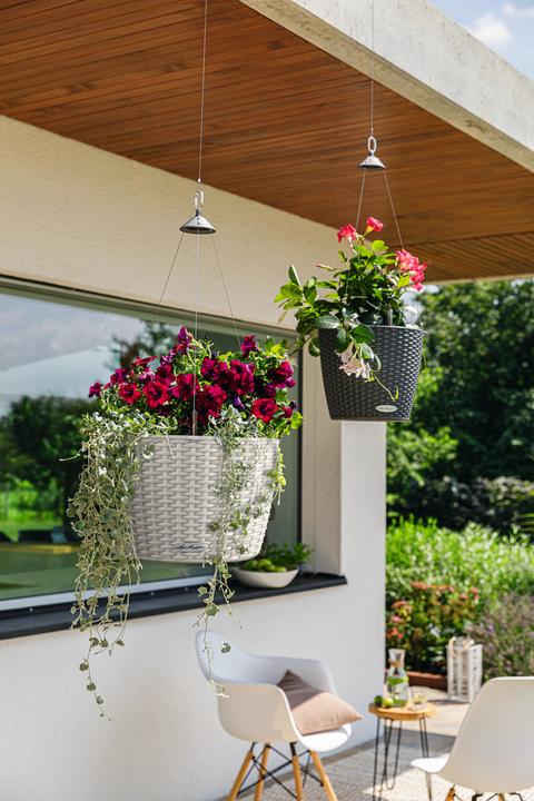 Image du produit Lechuza Nagendra (35 x 23 cm)