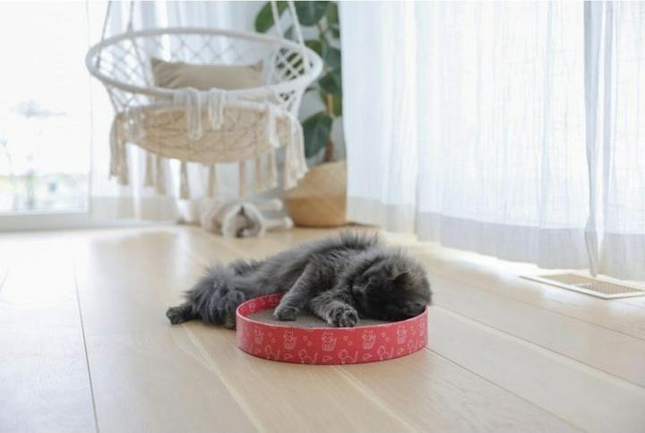 Actual product image Kerbl Circle cat scratching bed made of cardboard, pink, Ø34cm (5.50 cm, Pink)