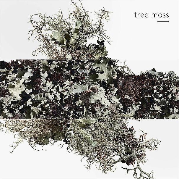 Produktbild Hermès Eau d'orange verte (Eau de Cologne, 100 ml)