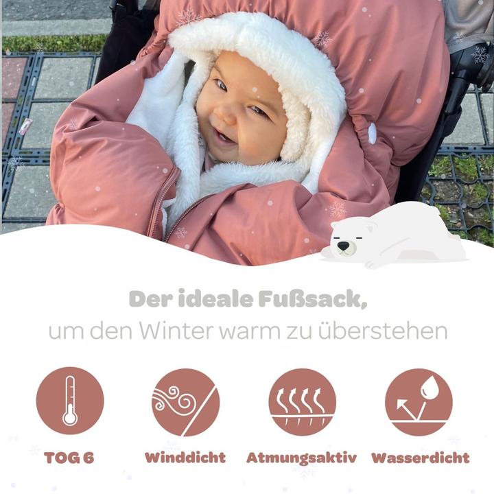 Image du produit Beaba Chancelière 6-24 mois terracotta