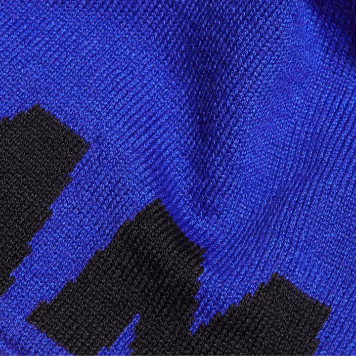 Actual product image Mammut Logo Beanie (One size)
