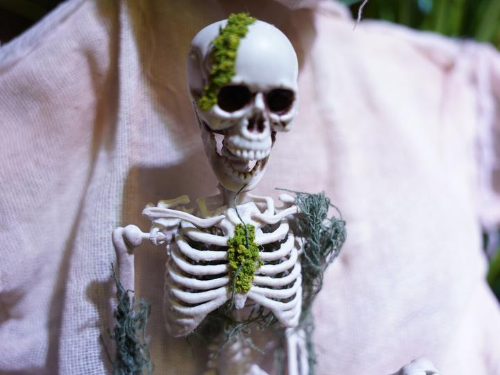 Actual product image Europalms Halloween skeleton with moss, 40cm