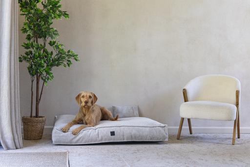 Actual product image Designed by Lotte Ribbed (Dog)