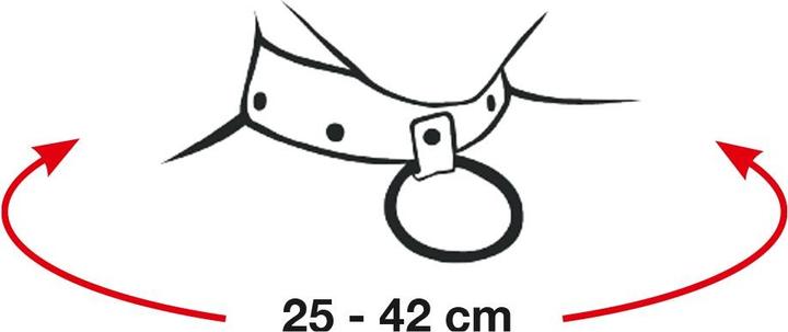 Image du produit Bad Kitty Collier en pierre de Rhin