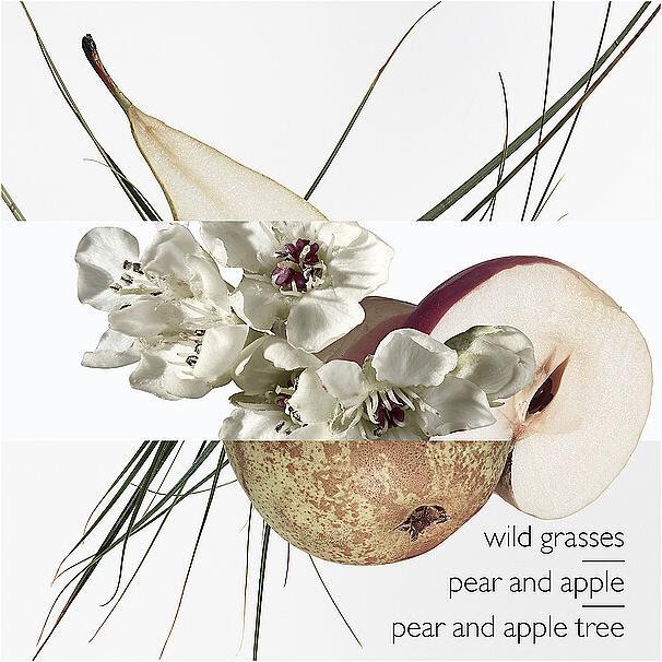 Image du produit Hermès Un Jardin sur le Toit (Eau de toilette, 50 ml)